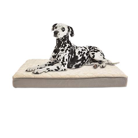 Lounger Dog Bed