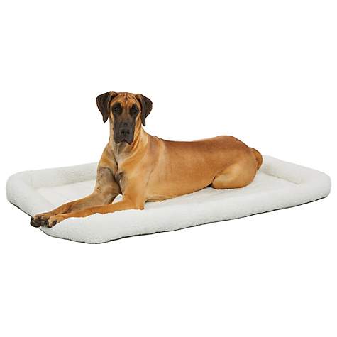 Dog Bed